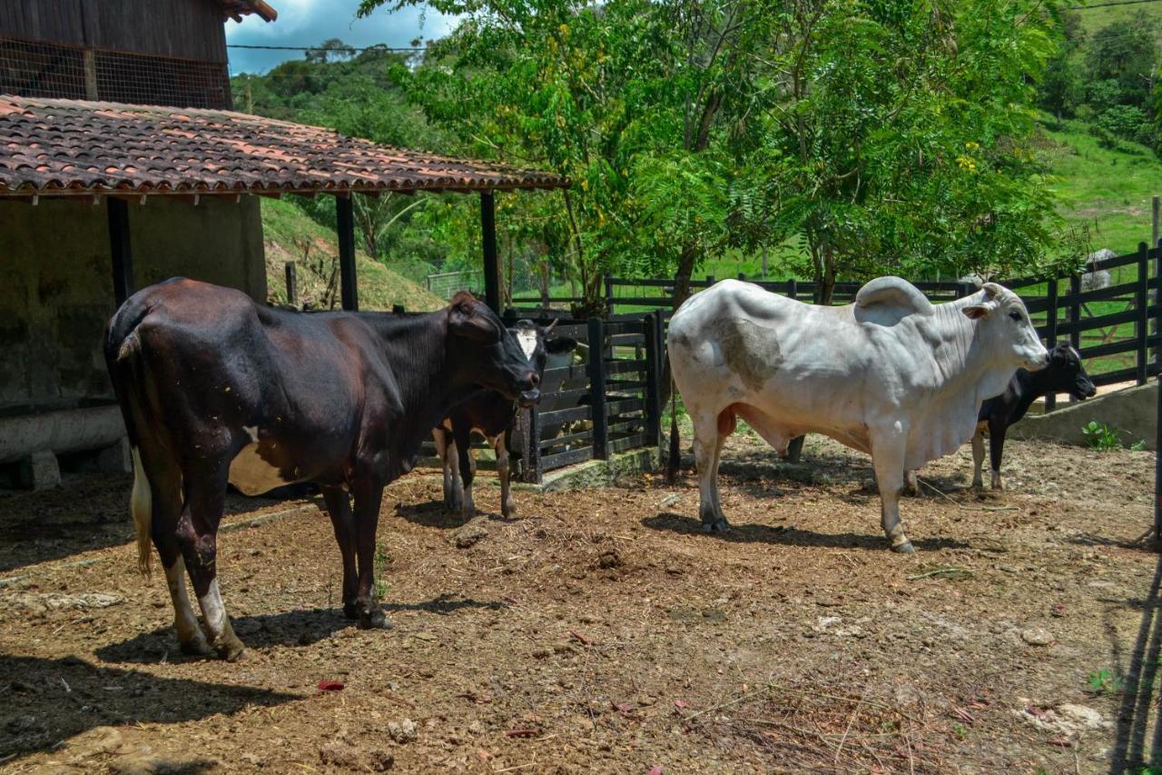 Villa Chacara Maluco Beleza 2 Gravatá Exterior foto